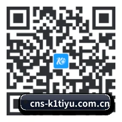 Apple 移动终端版 二维码